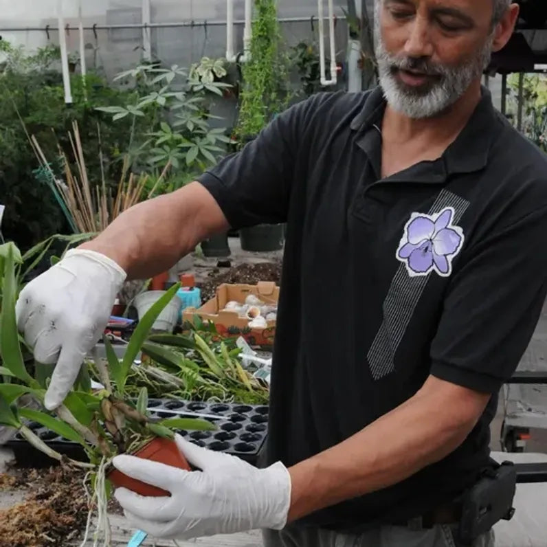 Orchid 101 Class June 27th 2026 (10:30AM-12PM)