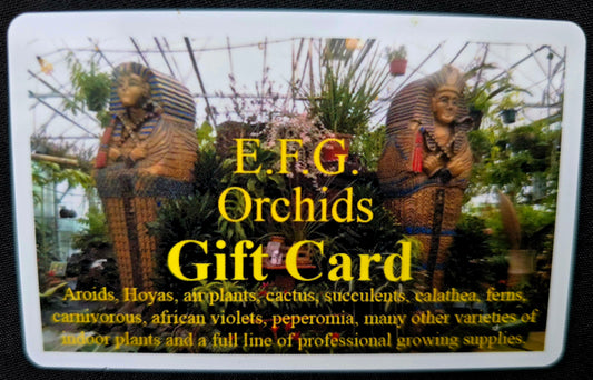 Gift Card $100